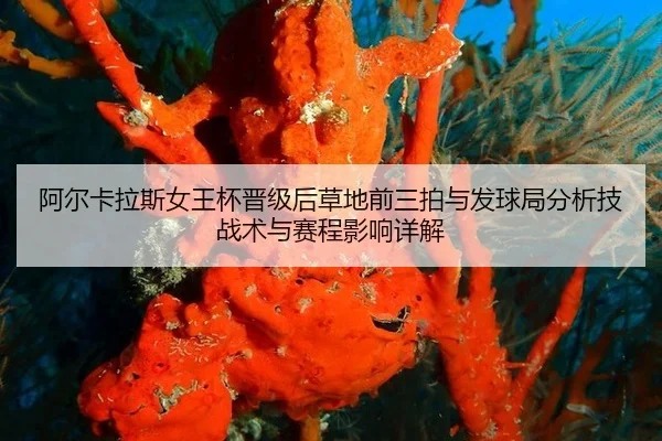 a-er-ka-la-si-nv-wang-bei-jin-ji-hou-cao-di-qian-san-pai-yu-fa-qiu-ju-fen-xi-ji-zhan-shu-yu-sai-cheng-ying-xiang-xiang-2-252.jpg